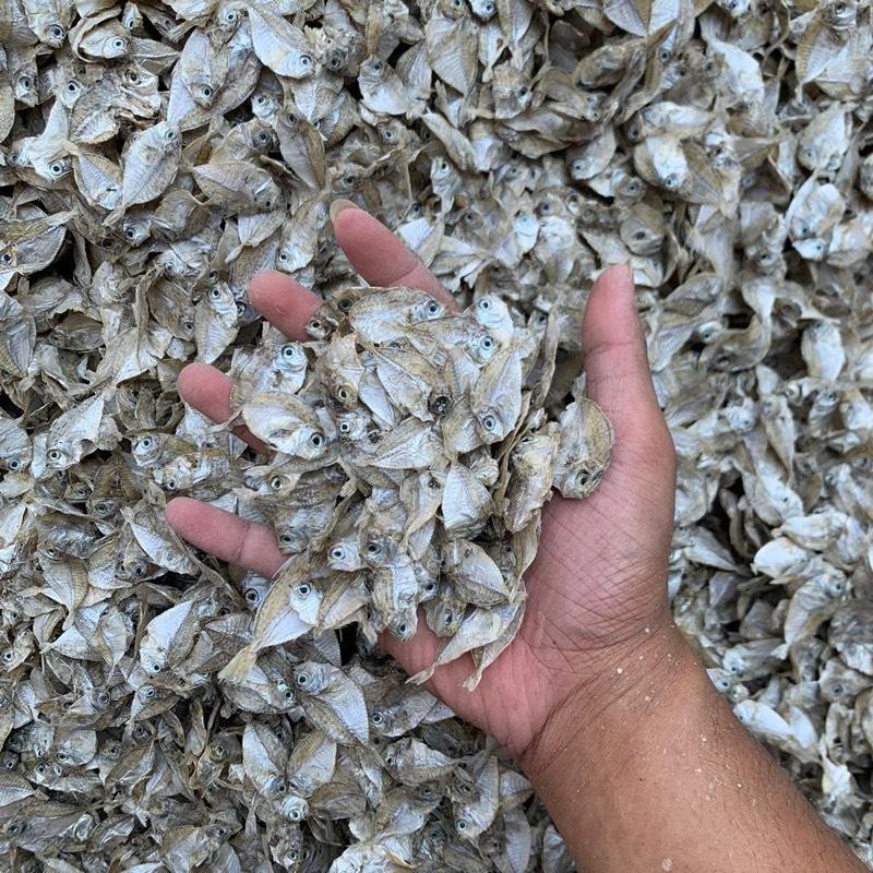 

IKAN PIRIK/PETEK KECIL/DODOK TAWAR KERING Food