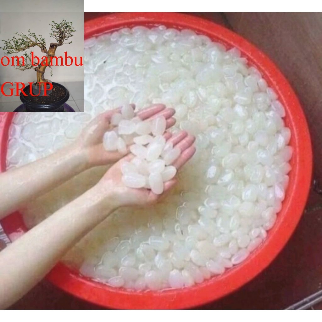 

KOLANG KALING SUPER FRESH 1 KG