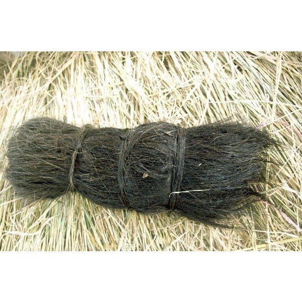 Promo injuk utuh 500 gram bersih ..