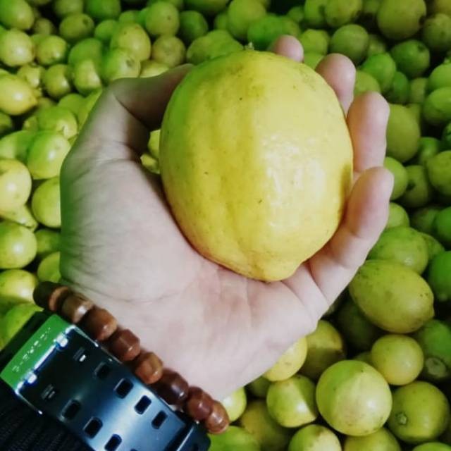 

New jual lemon fresh 1 kg/ ready lemon fresh 1000gr siap kirim