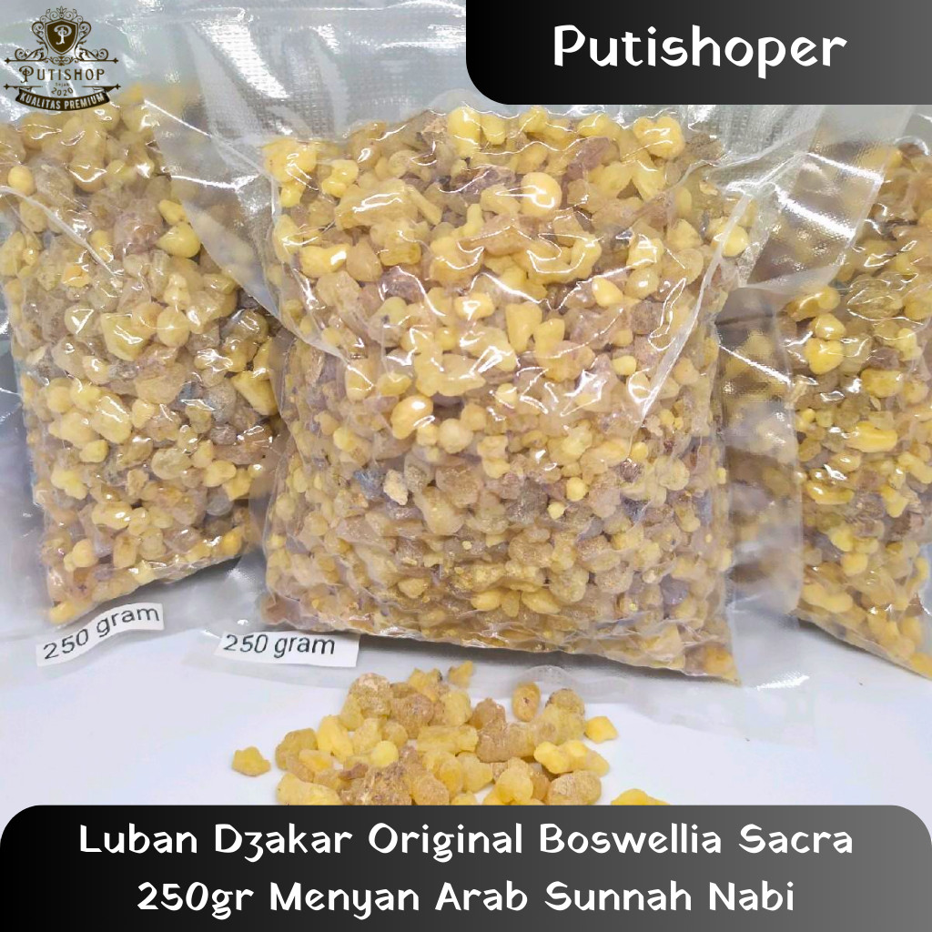 Luban Dzakar Original Boswellia Sacra 250gr Menyan Arab Sunnah Nabi