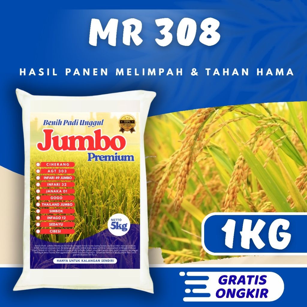 Benih padi unggul mr 308 original kemasan 1kg Berkualitas / Anti Hama / Anti Roboh - SRI JAYA FARM