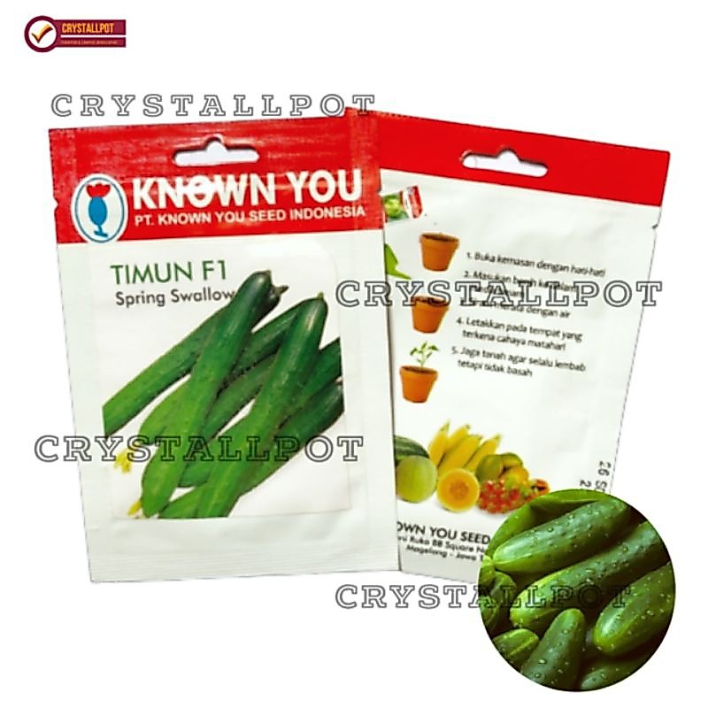 Benih Bibit Timun F1 Spring Swallow Known You Seed - KYS TIMUN F1 SPRING SWALLOW