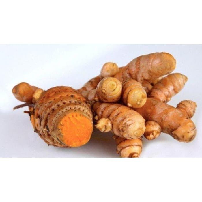 

Temulawak Segar 1 Kg / Temulawak Basah