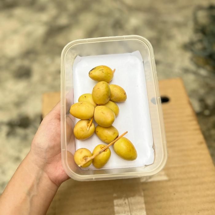 

SALE PAKET MAKANAN KURMA MUDA KUNING BARHEE Segar - 100grTERLARIS