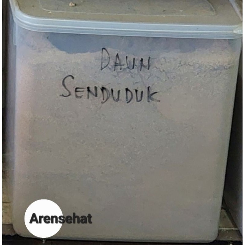 

Daun Senduduk Bubuk 100gr Premium