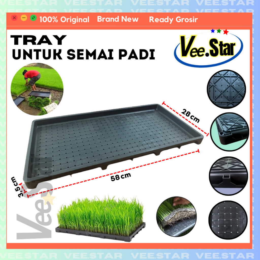 New Tray Semai Bibit Padi / Rice Seedling TrayPremium