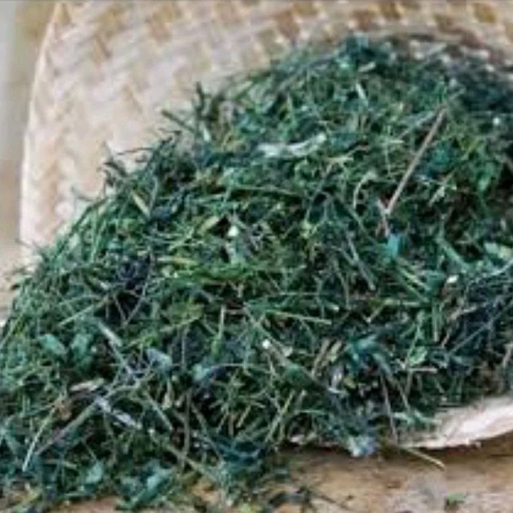 

Daun Sambiloto Sambiroto Sambiluto cacah kering 1 kg kiloan