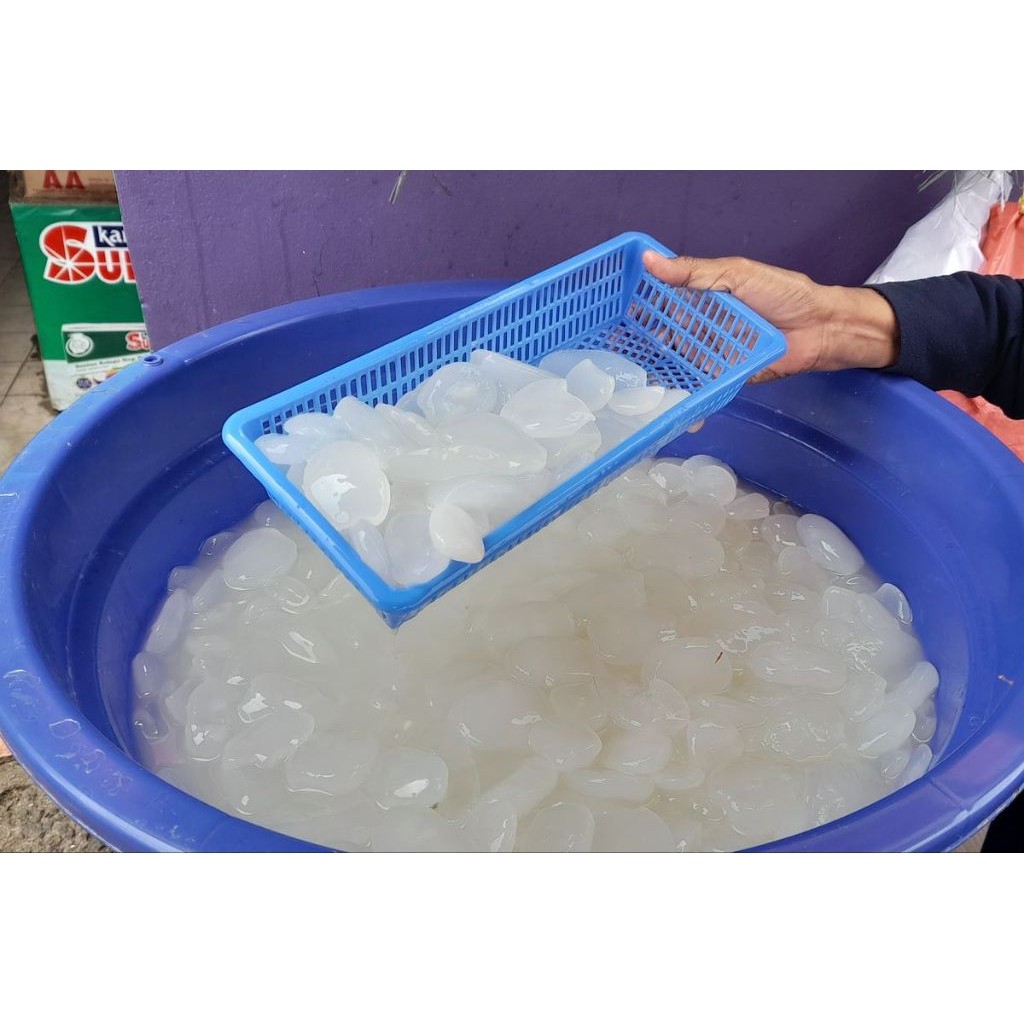 

Kolang Kaling Premium 1kg – Segar, Kenyal, Alami, Cocok untuk Es Buah & Takjil siap kirim secepatnya ..