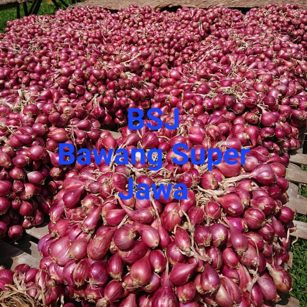 Bawang Merah Brebes 500g Langsung Dari Petani