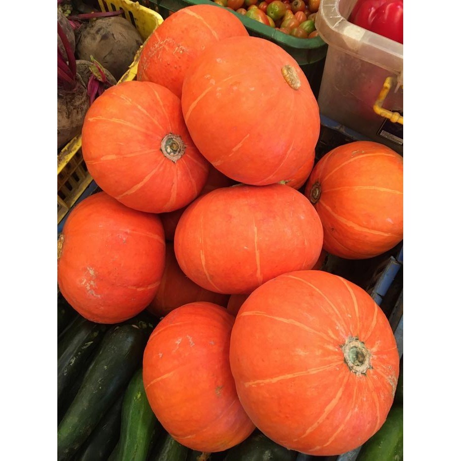 Labu Kuning / Kabocha / Labu Jepang / Kaboca