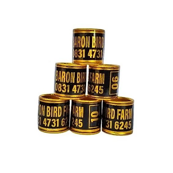 RING MERPATI REQUEST NAMA SENDIRI | RING MERPATI CUSTOM NAMA