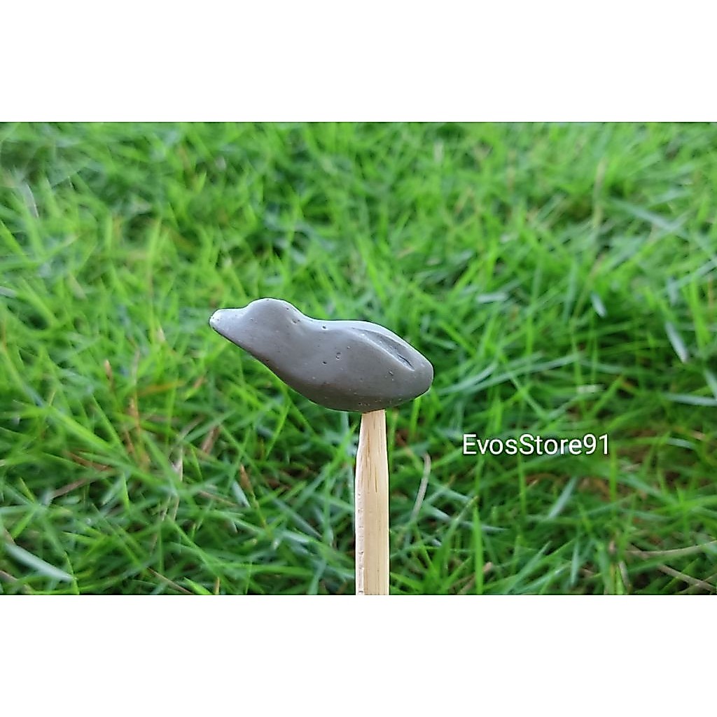 Molding Soft Frog Panjang 2 cm/ 2,5 cm/ 3 cm/ 3,2 cm JN1126.1646