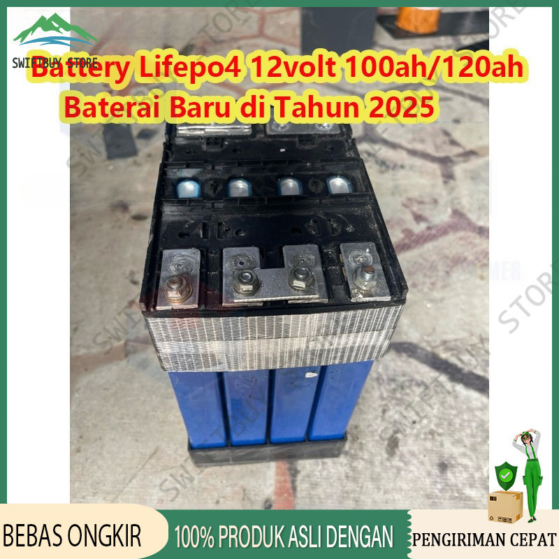 Battery Lifepo4 12v/24v 100Ah /120ah Plus BMS Baterai LifePo 12V 100Ah