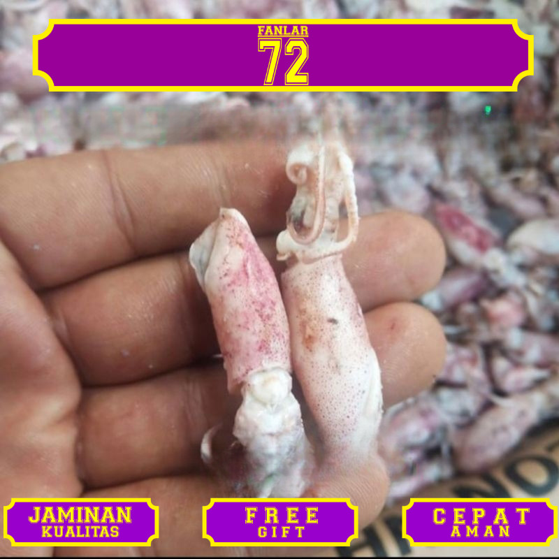 

Cumi asin beby 10kg/cumi asin rebus/beby cumi asin