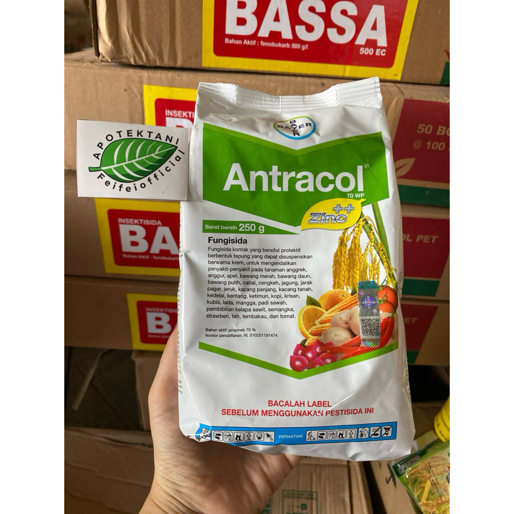 ANTRACOL 70 WP 250 GRAM FUNGISIDA / ANTRACOL 250GRAM ORIGINAL