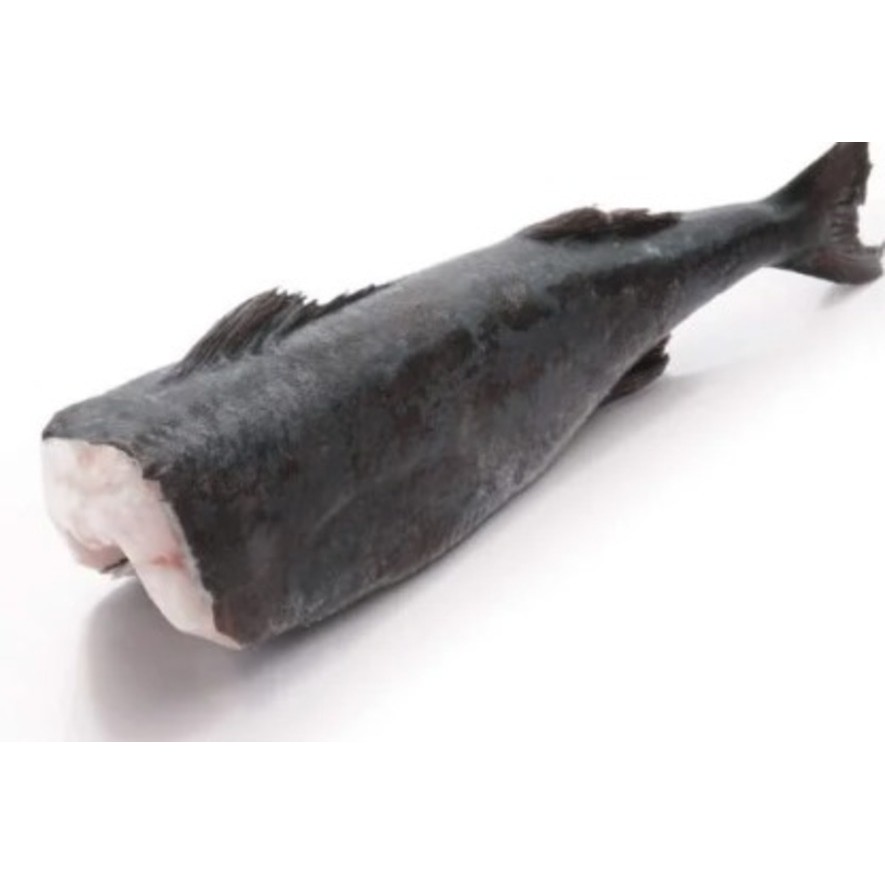 

Black cod size 5-7 lbs