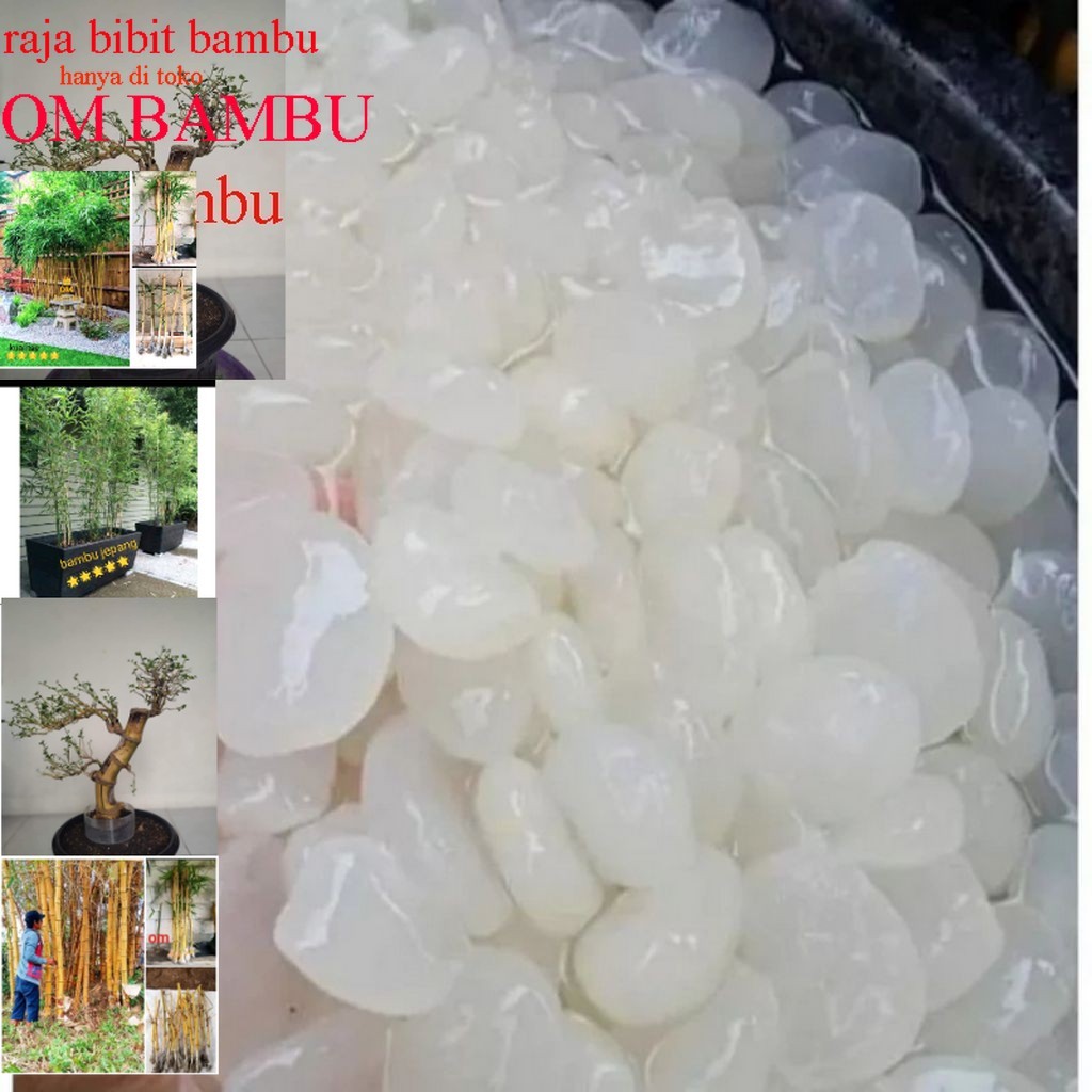 

Kolang Kaling Segar 1000gr – Kenyal, Manis, Siap Olah besellr