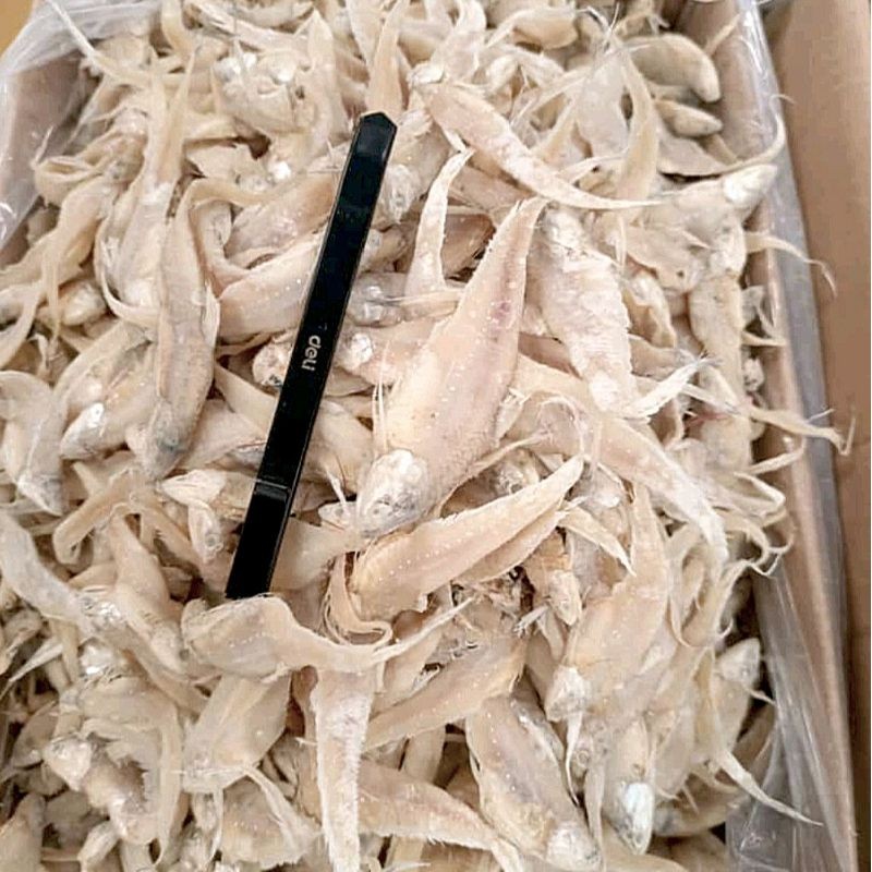 

ikan asin bulu ayam asin super kering murah 1 kgMurah