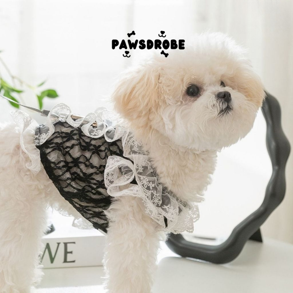 Baju Hewan Kucing Anjing Renda Mewah Wedding Tali Pawsdrobe