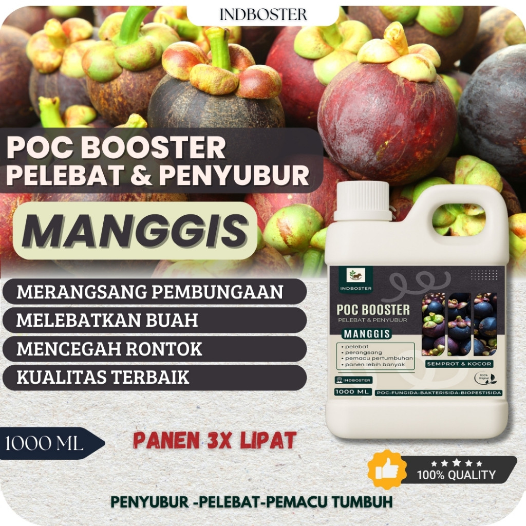 Pupuk Manggis Cepat Berbuah / Pupuk Buah Manggis / Pupuk Organik Pelebat Booster Manggis Perangsang 