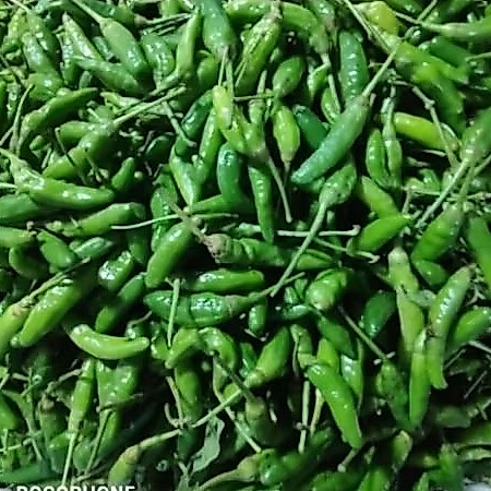 Cabe Rawit hijau 100grm/250grm/500grm
