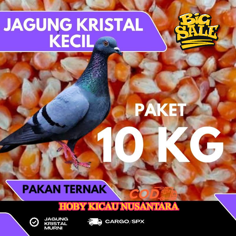 

Paket JAGUNG Kristal 10 Kg Pakan BURUNG Merpati