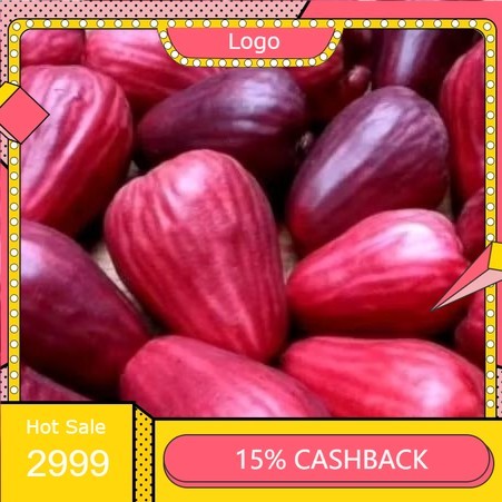 

[NS] Jambu Jamaika 1kg khualitas eksport