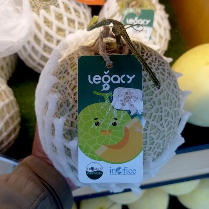 

Melon organik | Buah melon akira oren organik sweet / pcs