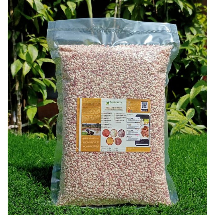 

Beras Sorgum Merah 1kg | Enak dan Pulen | Fresh Langsung dari Petani