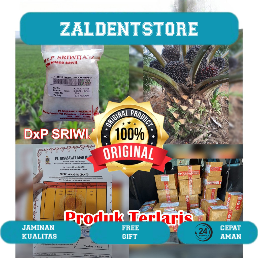 DxP SRIWIJAYA SJ5 UNGGUL DAPAT SERTIFIKAT