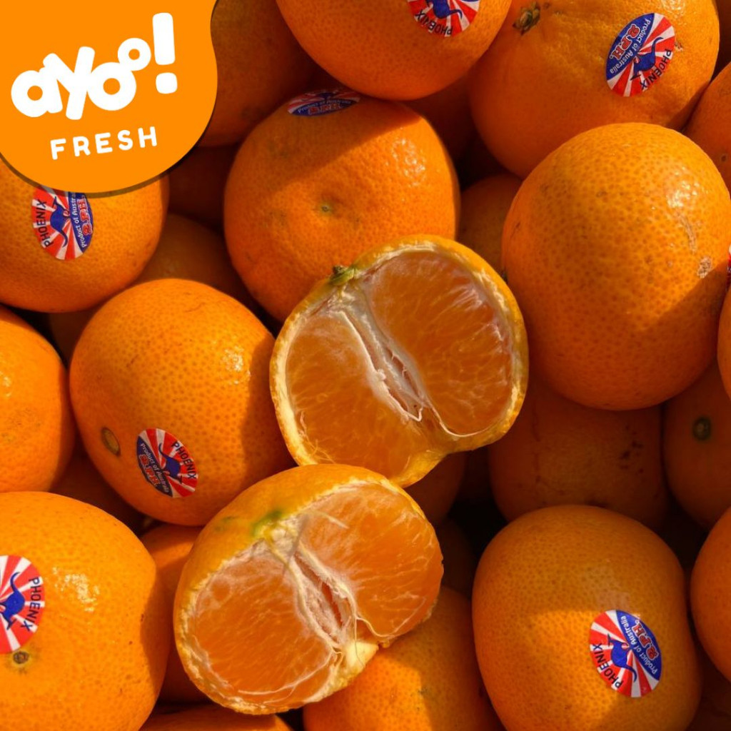 

Jeruk Phoenix Australia 950 g - 1000 g