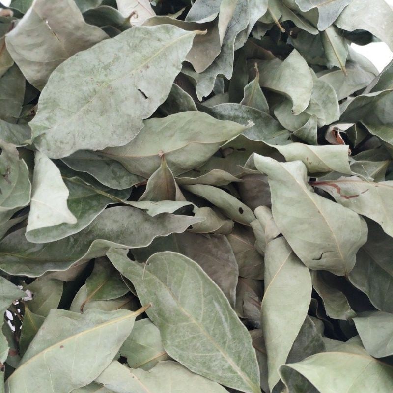 Daun salam kering 1kg