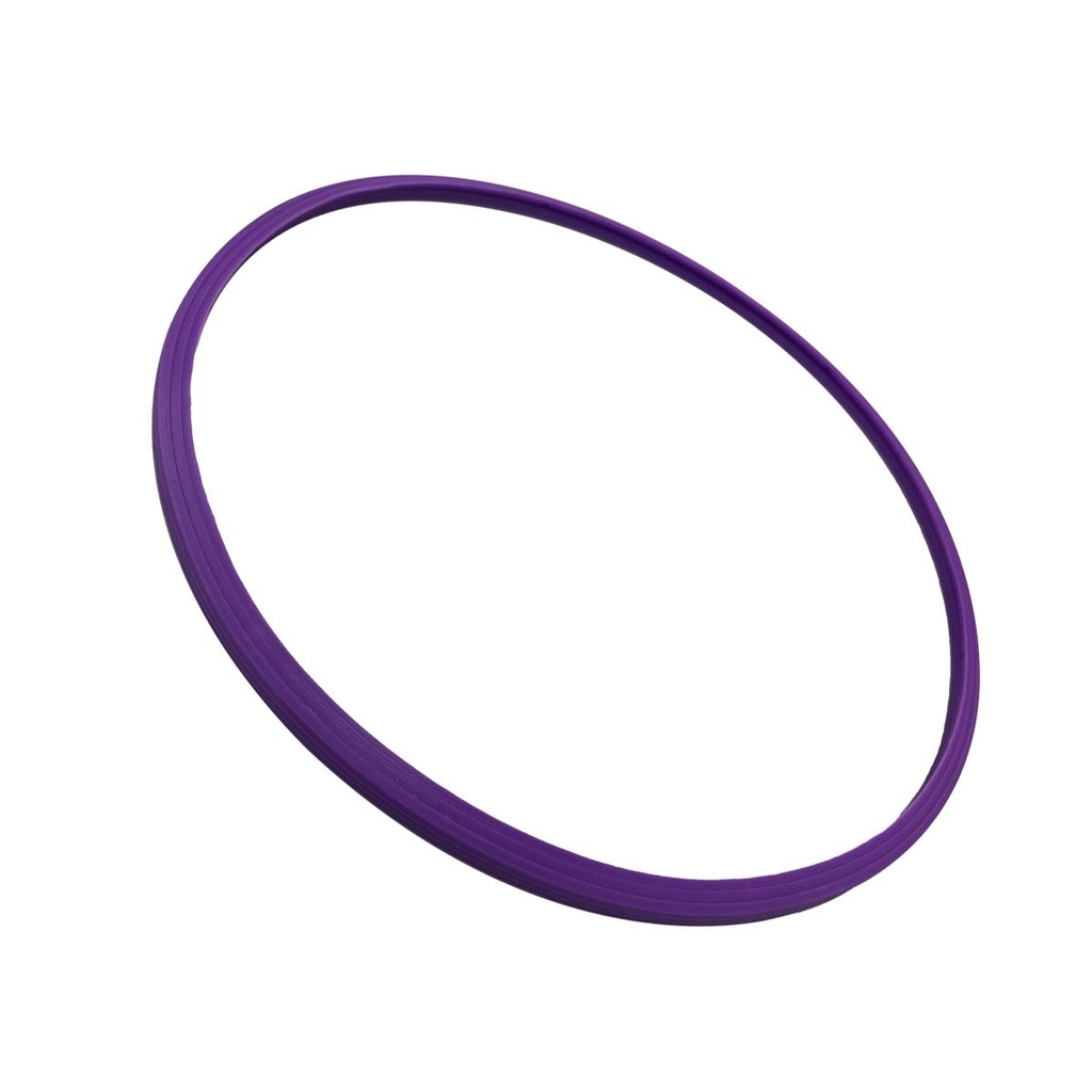 31# for Woson &  JP selecta  17L18L 20L-23L Autoclave  door gasket replacement seal o- ring Chamber 