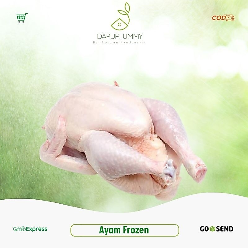 FROZEN • Ayam Frozen • Ayam Beku • [Naik]