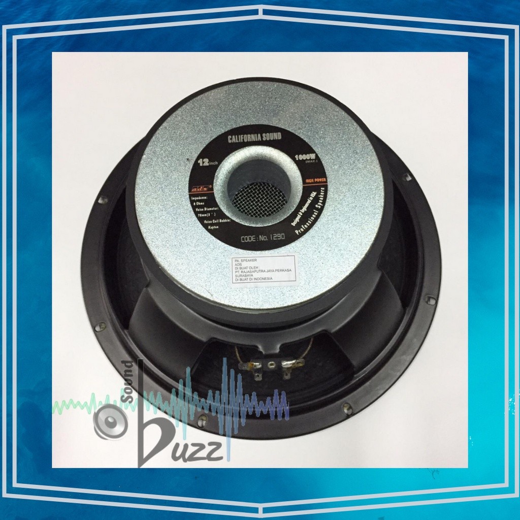 Professional Speaker ADS 12  1290 California Sound Full Range 1000 Watt ADS 1290