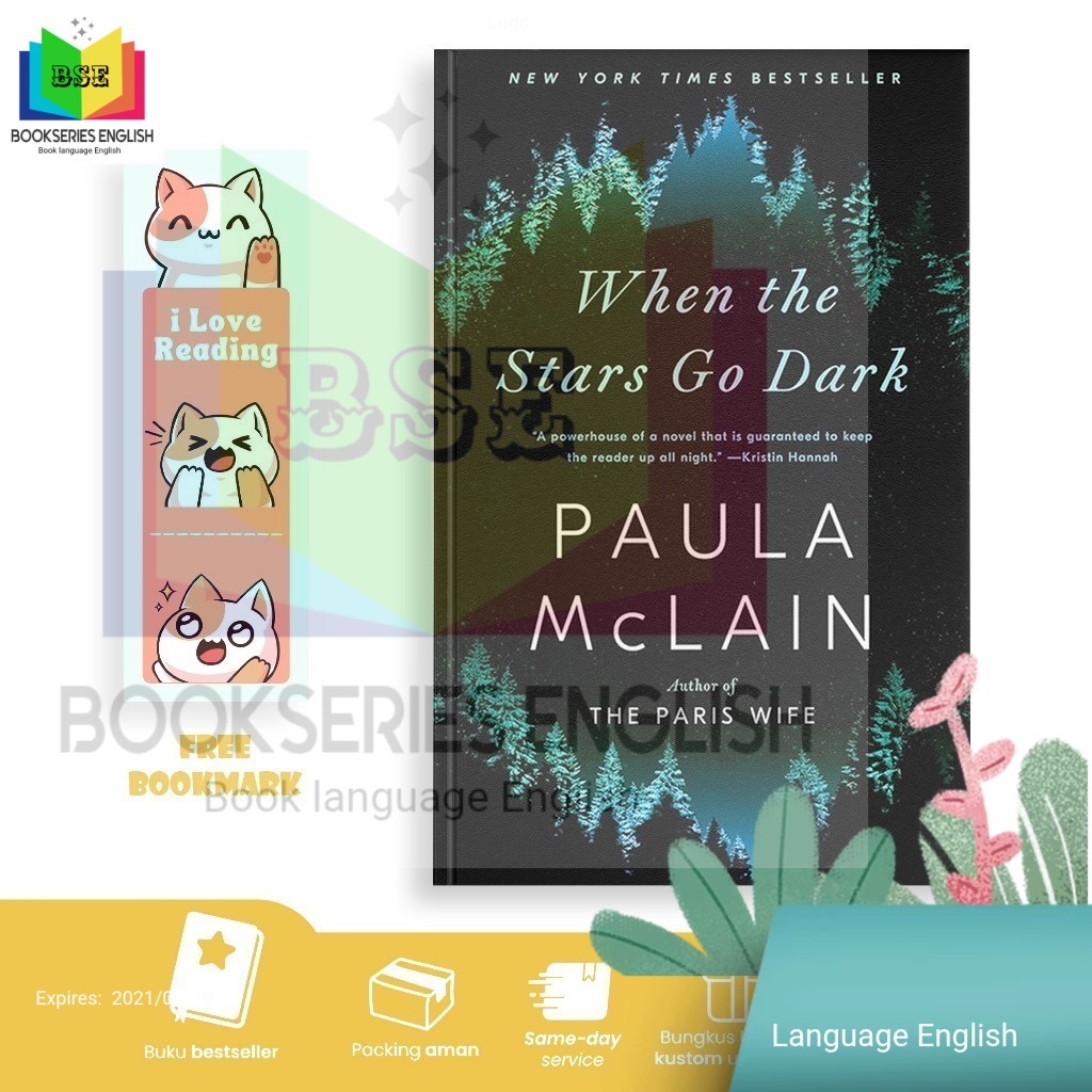 When the Stars Go Dark by Paula McLain