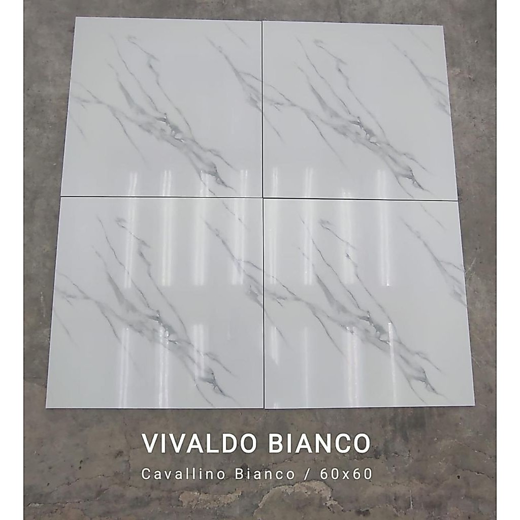 Granit vivaldo bianco 60x60