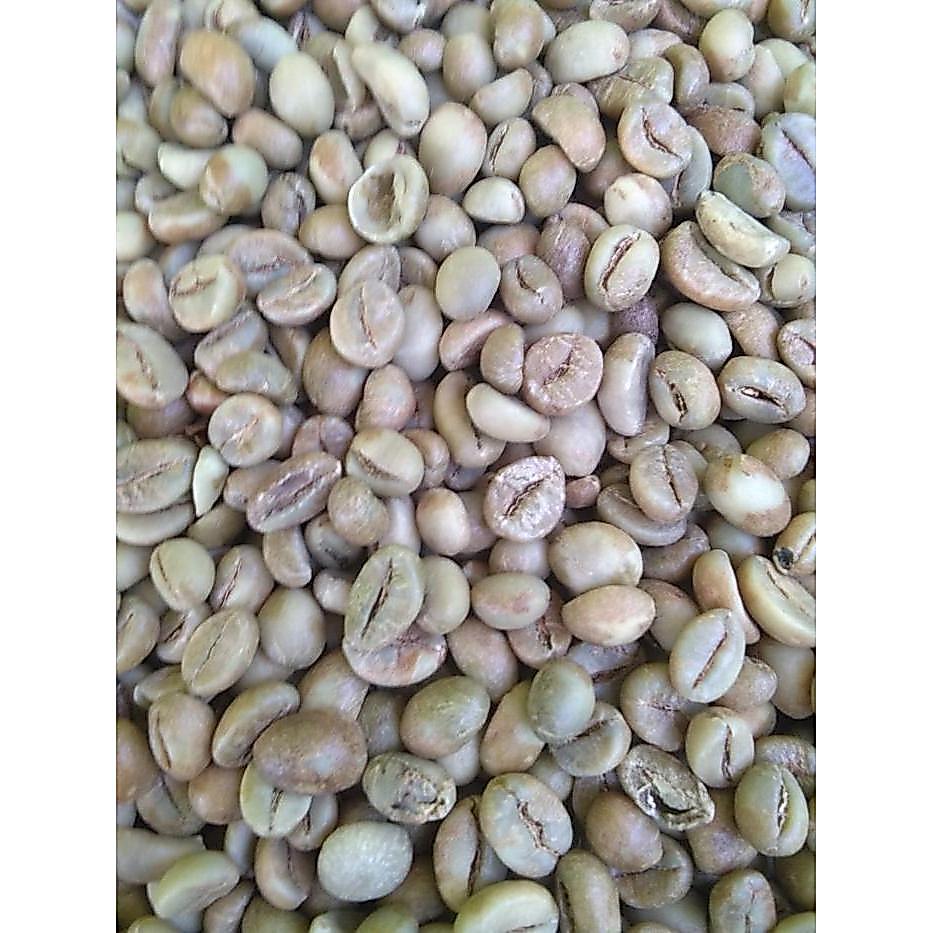 NEW Greenbean Robusta Dampit-Java Robusta 1Kg