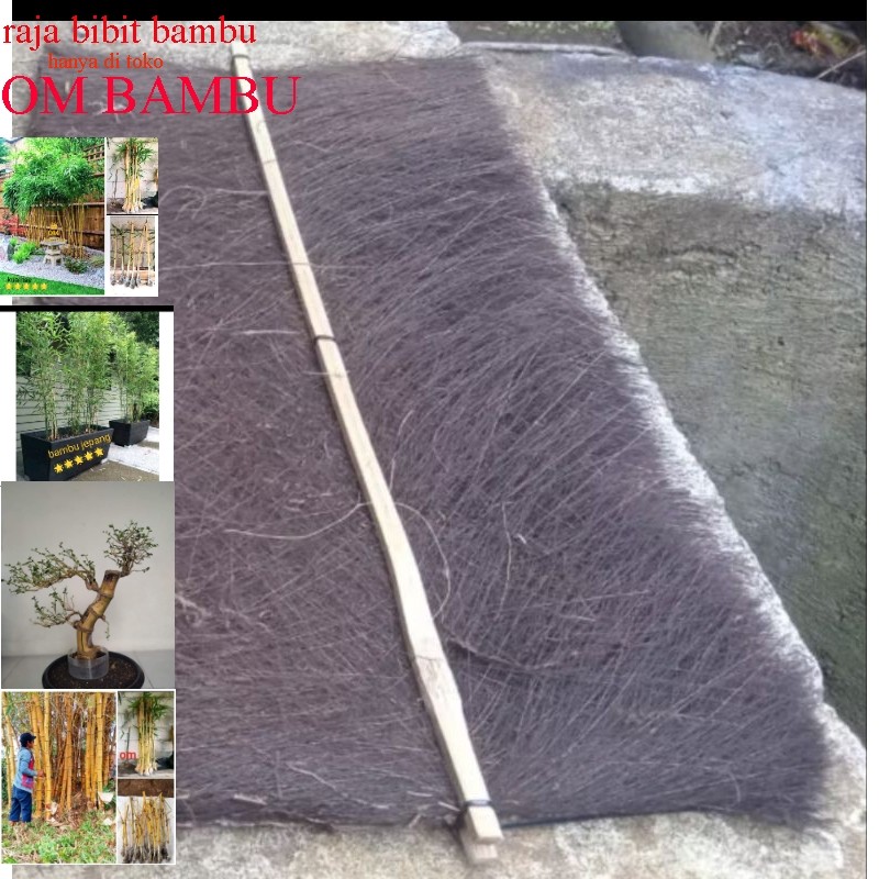 injuk tempat telur ikan mas dll