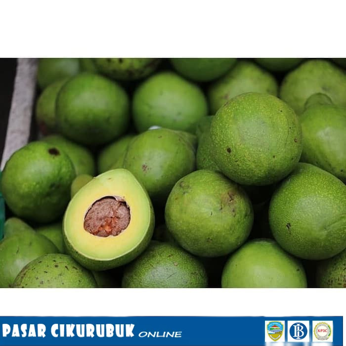 

Buah Alpukat Mentega per 1 Kg