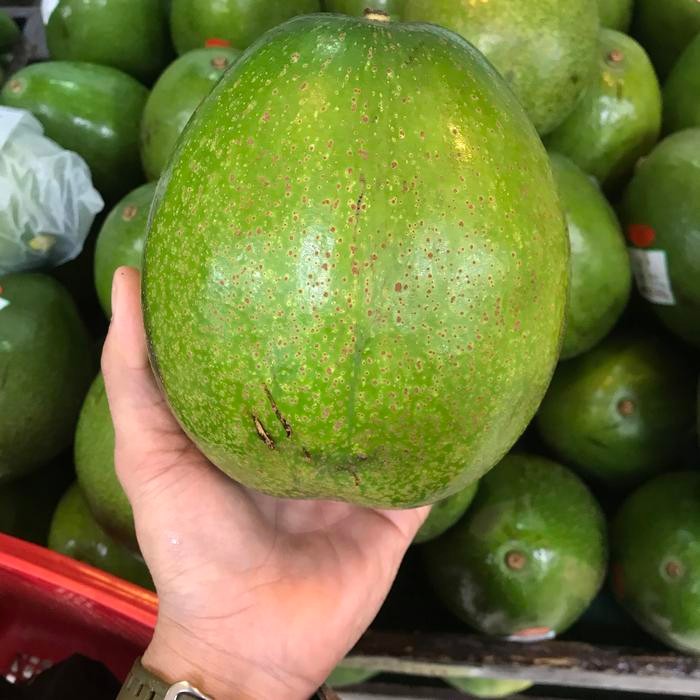 

BUAH ALPUKAT METEGA JUMBO ALPUKAT SUPER JUMBO 1,4KG