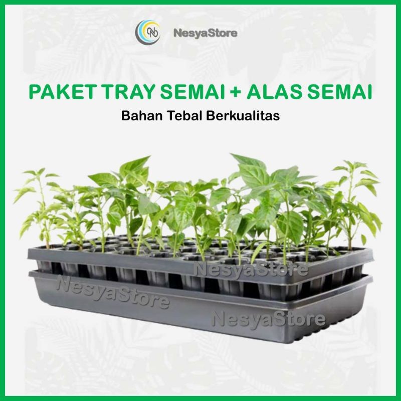 Paket Tray Semai Potray Pot Semai dan Alas Tray 32 50 72 98 105 128 162 200 288 Lubang