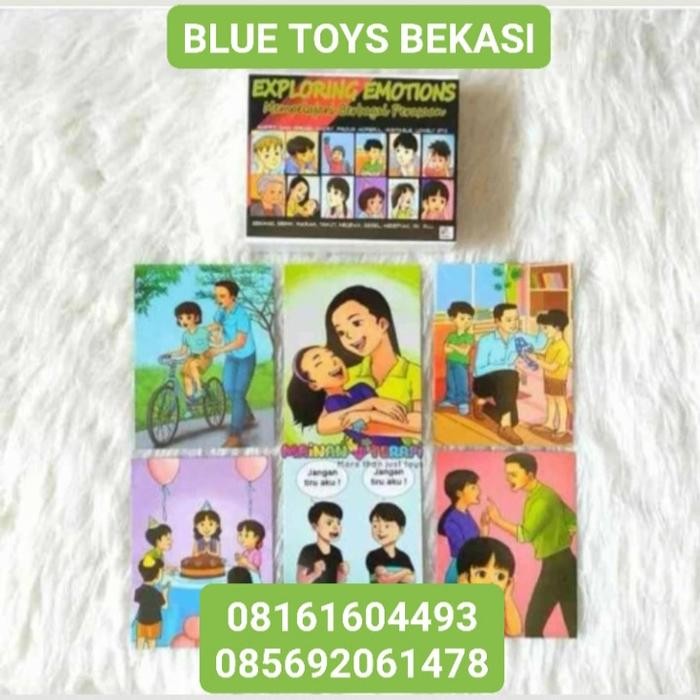 READY Exploring Emotions IQ Development Kartu Terapi Wicara Perilaku Autis