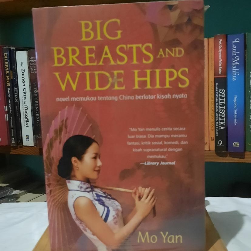 Big Breast and Wide Hips - Mo Yan