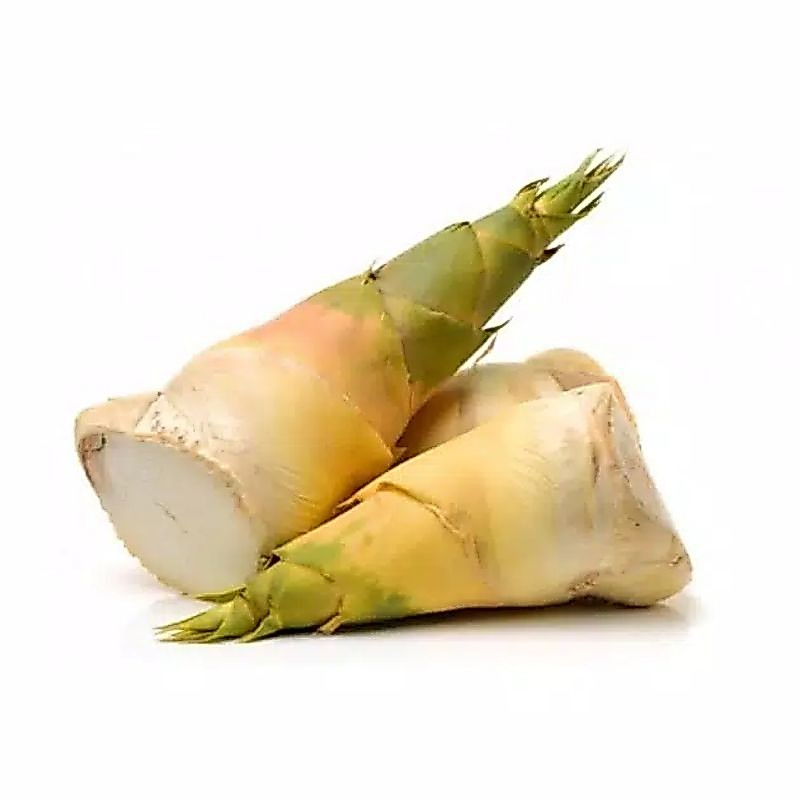 Rebung Bambu Muda Segar 500GR