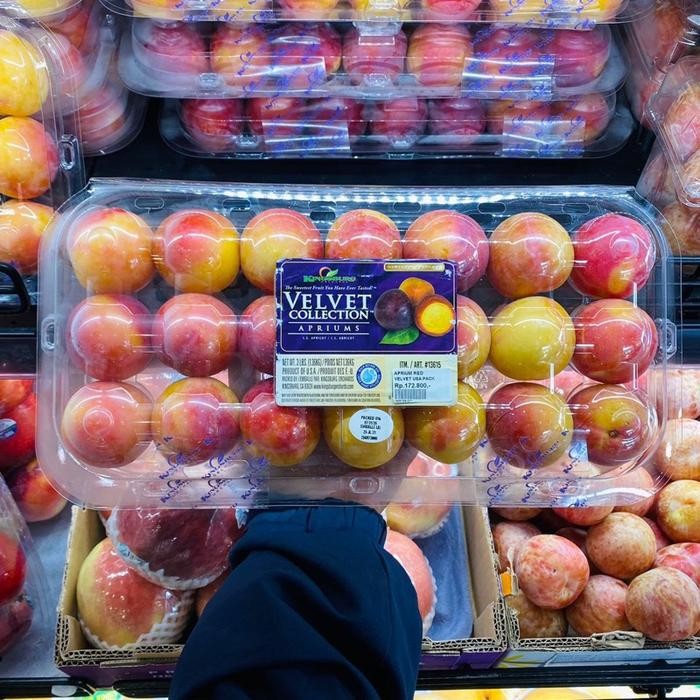

Velvet Collection Plum Aprium Red Velvet USA Super Fresh Premium Pack Buah Segar Berkualiti Tinggi dari USA