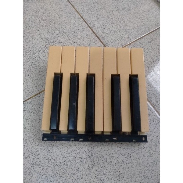 Tuts Keyboard KORG Pa 600 500 300 700