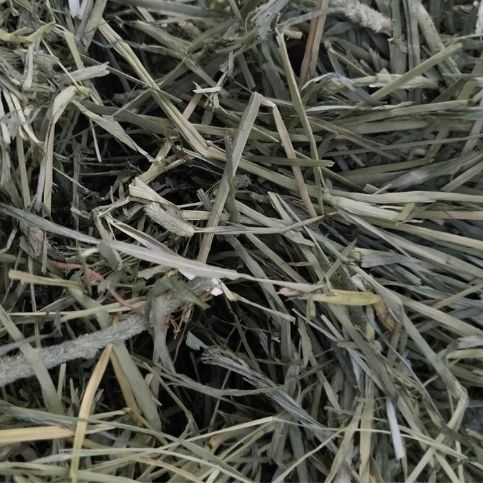 TIMOTHY HAY 1 kg FIRST CHOICE - Rumput Hay Kelinci 1st Choice 1kg - FIRST CUT