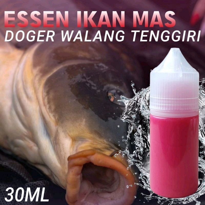 Essen Oplosan Ikan Mas Babon Rame Paling Gacor Siang Malam, Essen Aroma Doger Walang Tenggiri Harian